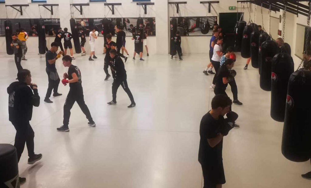 Skull Boxe