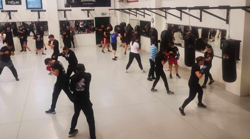 Skull Boxe