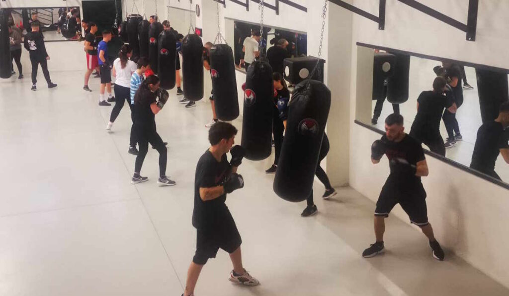 Skull Boxe