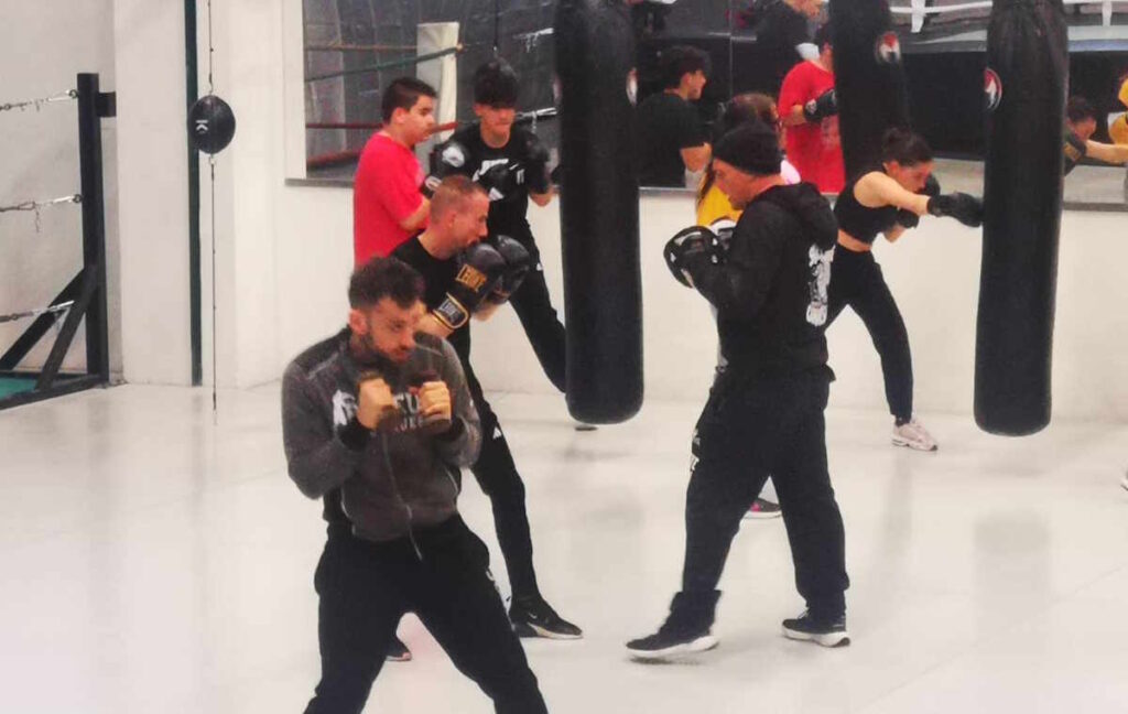 Skull Boxe