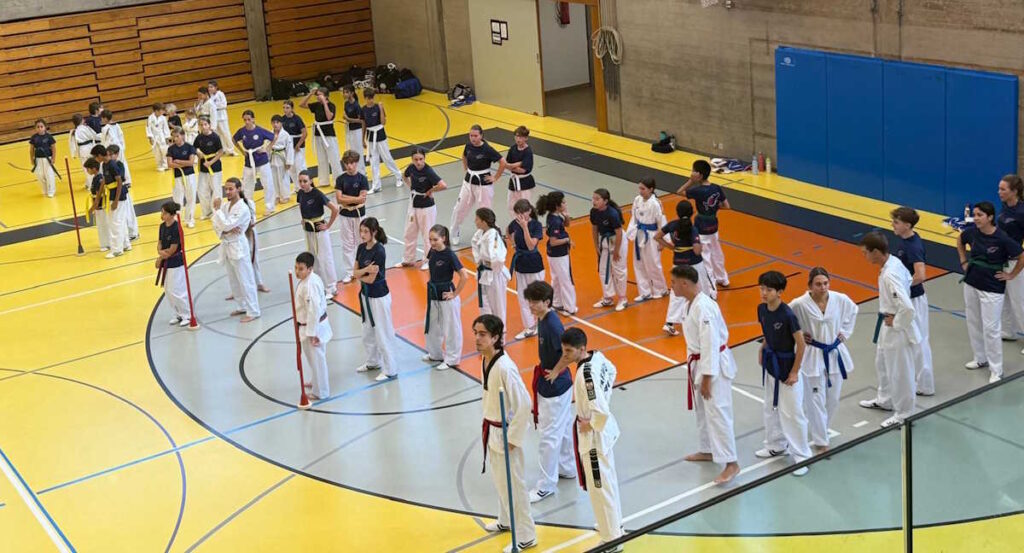 taekwondo canavese