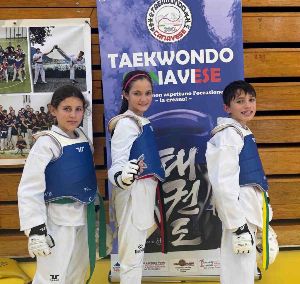 taekwondo canavese