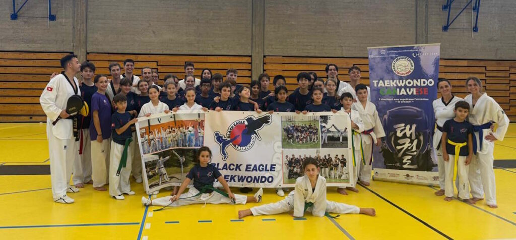 taekwondo canavese